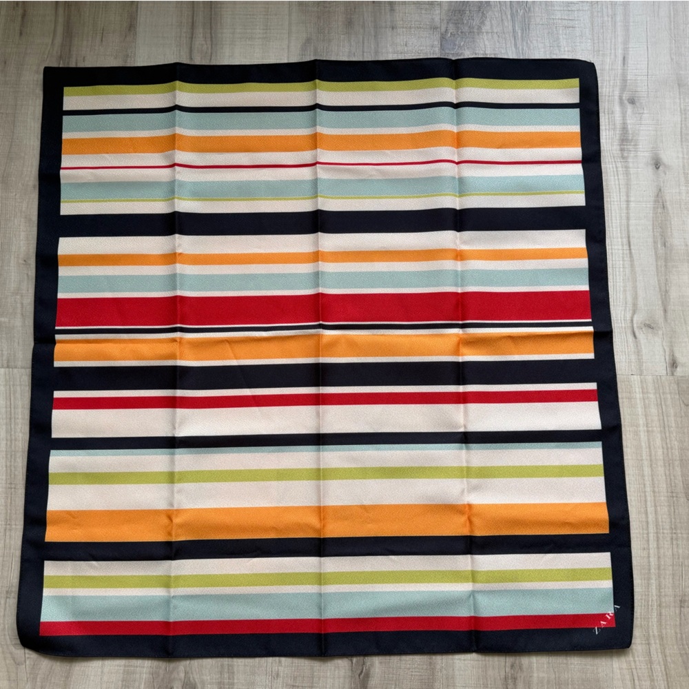 Zara Striped Multicolor Scarf